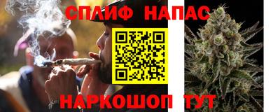 молекула духа Гай