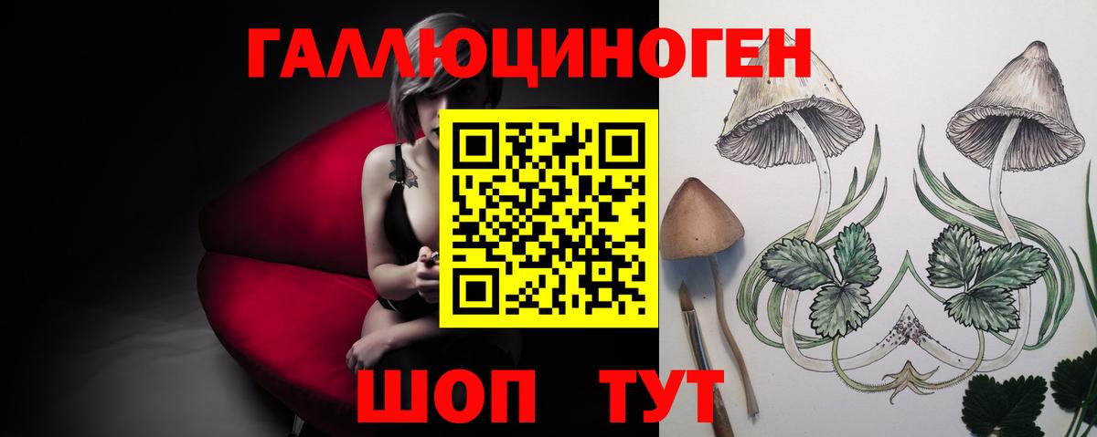 Псилоцибиновые грибы MAGIC MUSHROOMS  Галлюциногенные грибы Psilocybe  Вход с VPN  Нововоронеж 